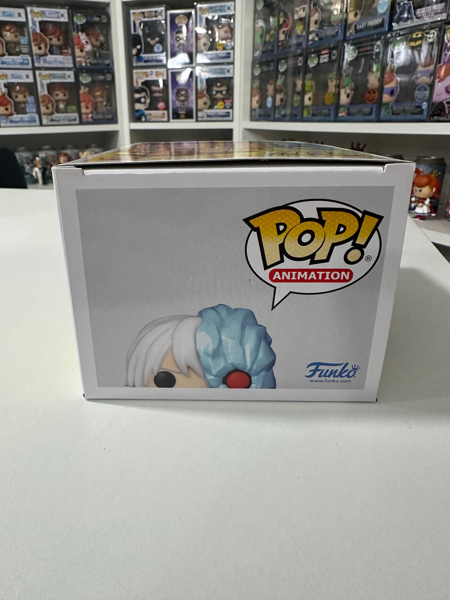 Shoto Todoroki Chase